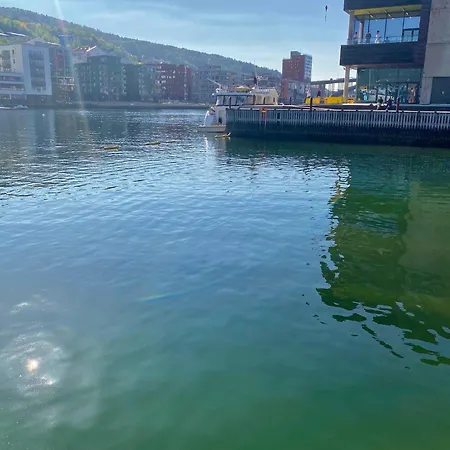Magic Solheimsviken Bergen